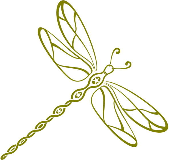 DragonFly Potter